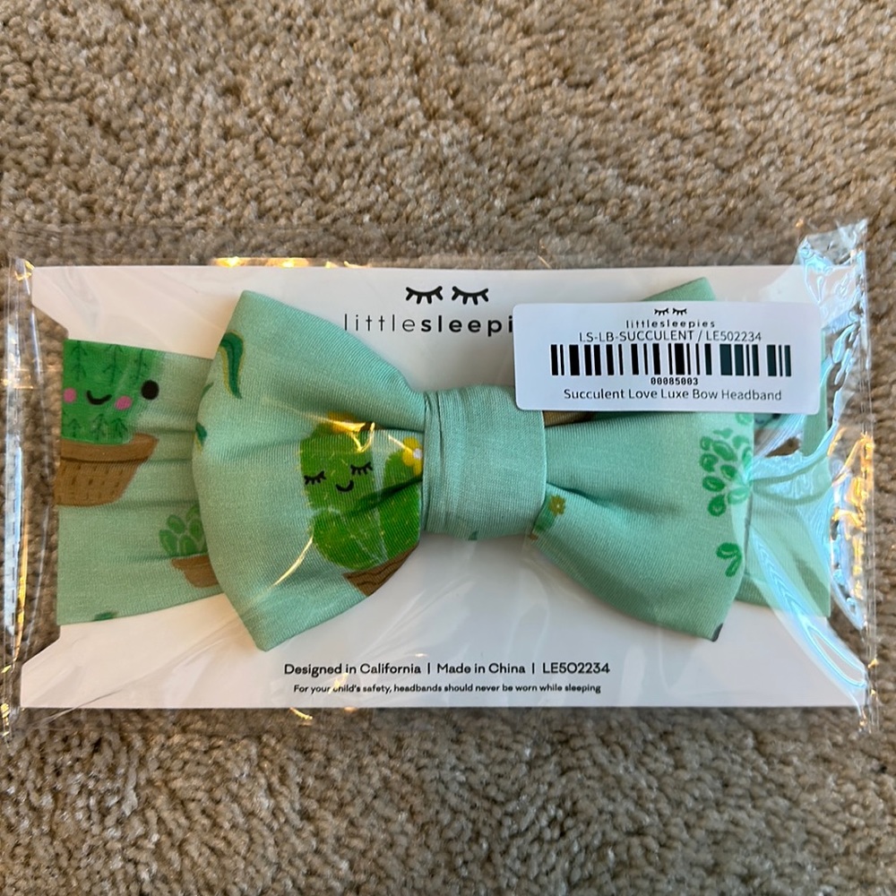 Succulent love bow